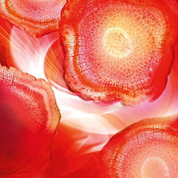 L'Oréal Paris Energising Anti-Wrinkle Revitalift Day Face Cream, Extra Firming Formula Enriched with Red Ginseng and Advanced Pro-Retinol, 50 ml