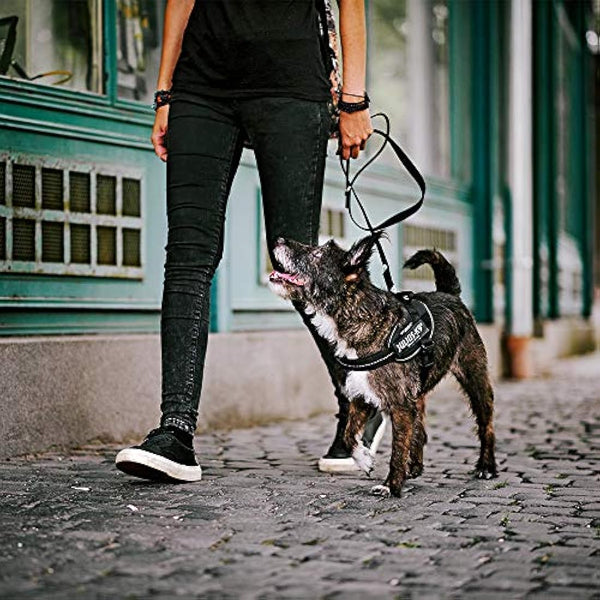 IDC Powerharness, Size: M/0, Dark Pink