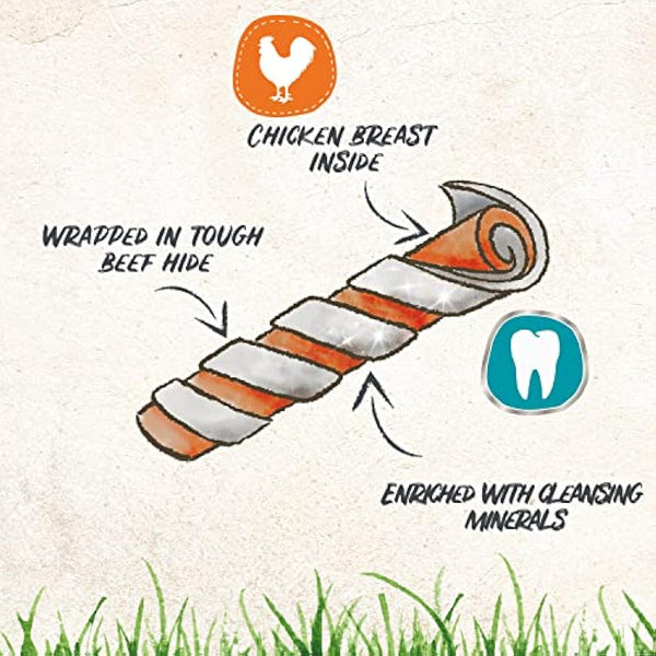 8in1 Pro Dental Twisted Sticks - healthy chew sticks for dogs for dental care, 10 pieces (pack of 1)