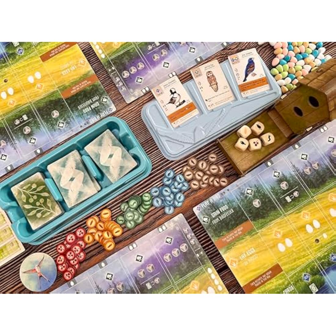 Stonemaier Games | Wingspan 2nd Edition | Board Game | Ages 14+ | 1-5 Players | 40-70 Minute Playing Time