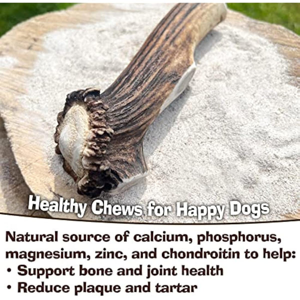 Antler Chew – Super Extra Large Antler Dog Chew (350–450g, From 17cm) | Naturally Shed & Sanded | Long-Lasting, Odourless Chew for Moderate Chewers | Supports Dental Health