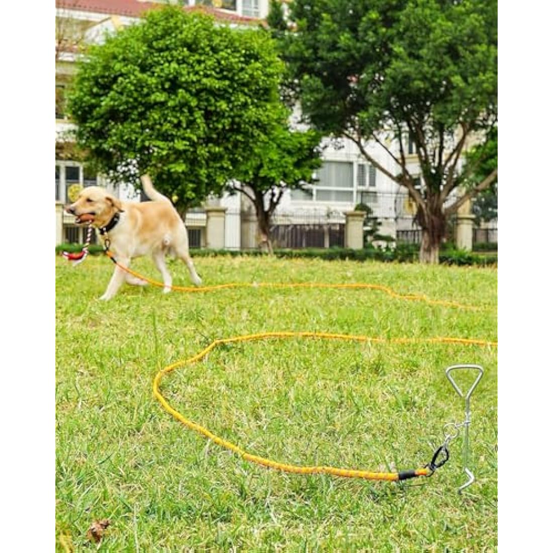 Joytale Training Leads for Dogs, Padded Handle Long Line Dog Lead, 5m 10m 15m 20m Long Leash for Training, Play, Camping, Backyard Tie Out, Orange, 5M