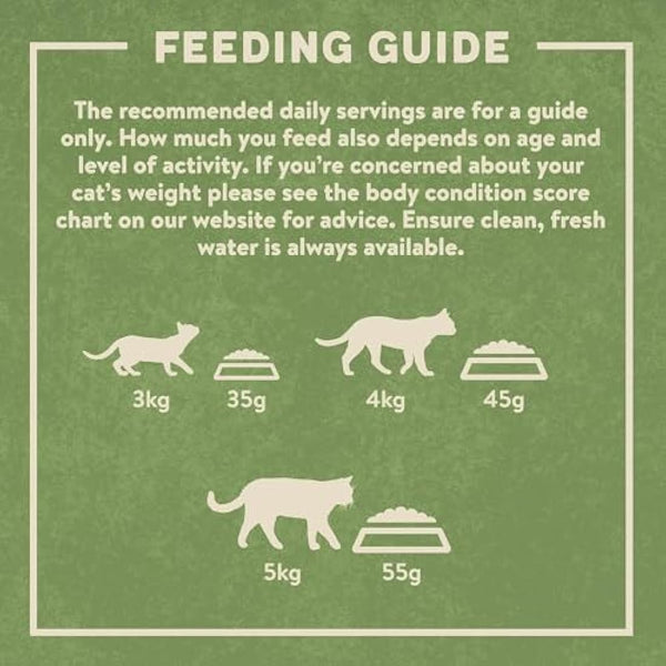 Harringtons Complete Dry Adult Cat Food Salmon 2kg (Pack of 4) - Tasty Natural Goodness