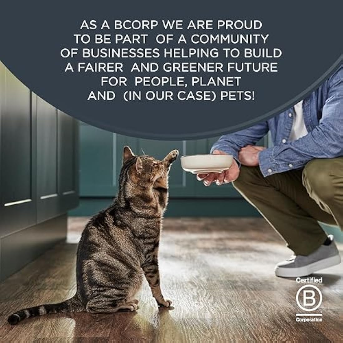 Encore 100% Natural Wet Cat Food, Multipack Chicken in Jelly, 5 x 50 g Pouches