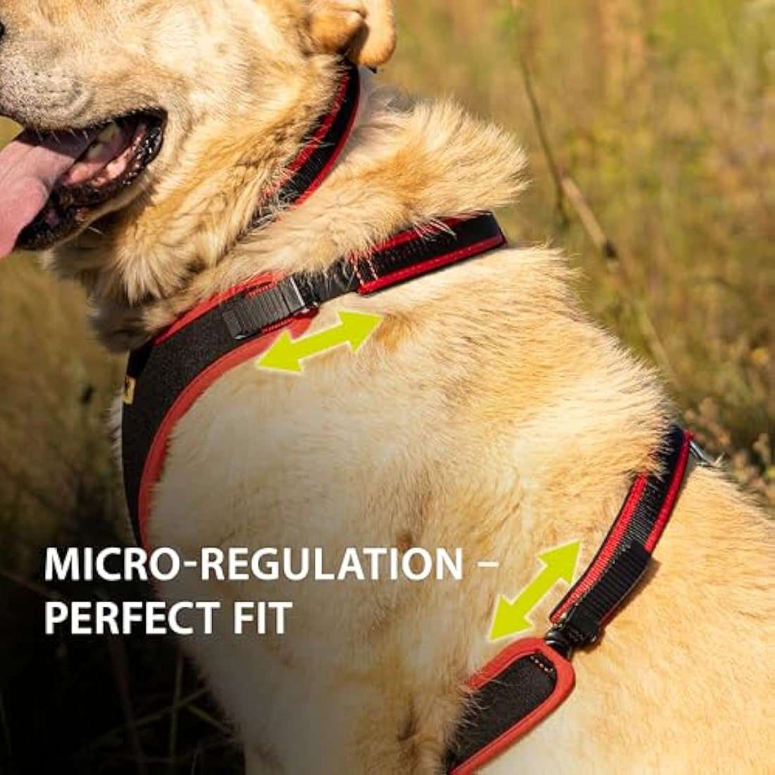 Ferplast Small Size Dog Harness ERGOCOMFORT EXTRA SMALL, Adjustable Dog Harness, Comfortable, Padded, Double Micro-adjustment Closure, Quick Release, Red