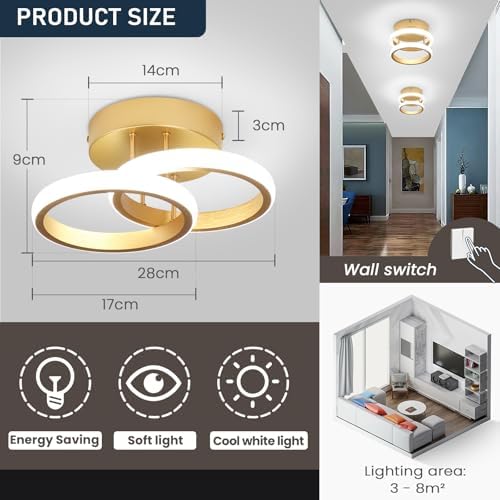 EIDISUNY LED Ceiling Light Modern Ceiling Lamp Silver Round Simple Ceiling Light Fixture LED for Corridor Kitchen Stairs Hallway Study Room Bedroom Living Room - Gold 22W (Cool White Light 6000K).