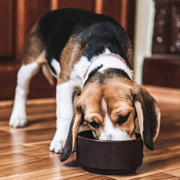 Arden Grange Adult Dry Dog Food Chicken and Rice, 6 kg