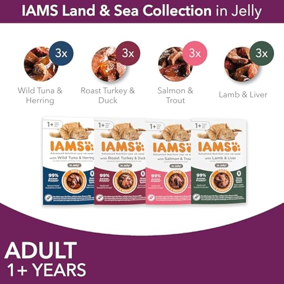 IAMS Adult Wet Cat Food Land & Sea in Jelly 12 x 85g