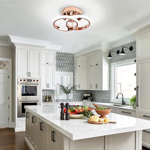 EIDISUNY LED Ceiling Light Modern Lamp Gold Round Simple Fixture for Corridor Kitchen Stairs Hallway Study Room Bedroom Living Room - Chrome Gold 22W Cool White Light 6000K