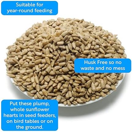 RSPB Sunflower Hearts Wild Bird Food 4kg, High in Energy & Protein, Great For Bird Feeders, Supporting The RSPB Charity, Resealable & Recyclable Packaging