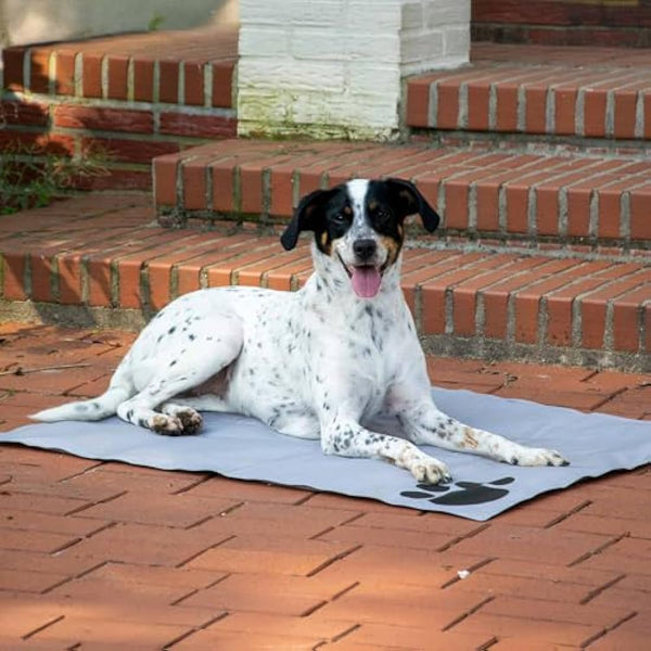 dobar® 60422 Cooling Mat for Dogs - Dog Cooling Mat for Dogs & Cats - Self-Cooling Mat for Pets - Dog Blanket with Cold Gel Filling - Cooling Blanket - 99.5 x 70 cm - Grey