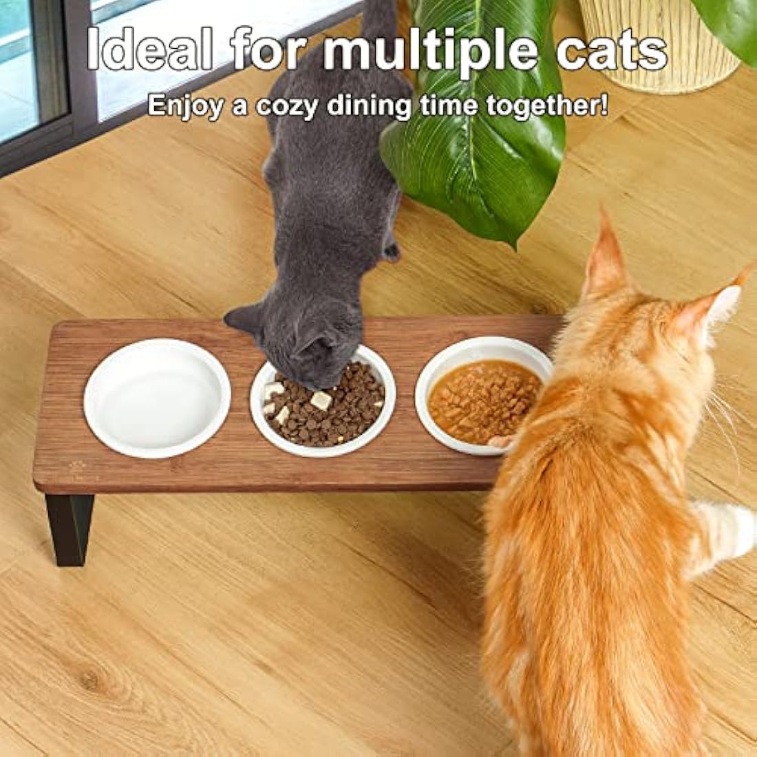 GUUSII HOME Raised Cat Bowl with Stand Kitty Dish Ergonomic Elevated Feeding Station 15° Tilted Ceramic Food and Water Bowls Set of 3 for Indoor Cats Pet Puppy Plate Anti Vomit Easy to Clean