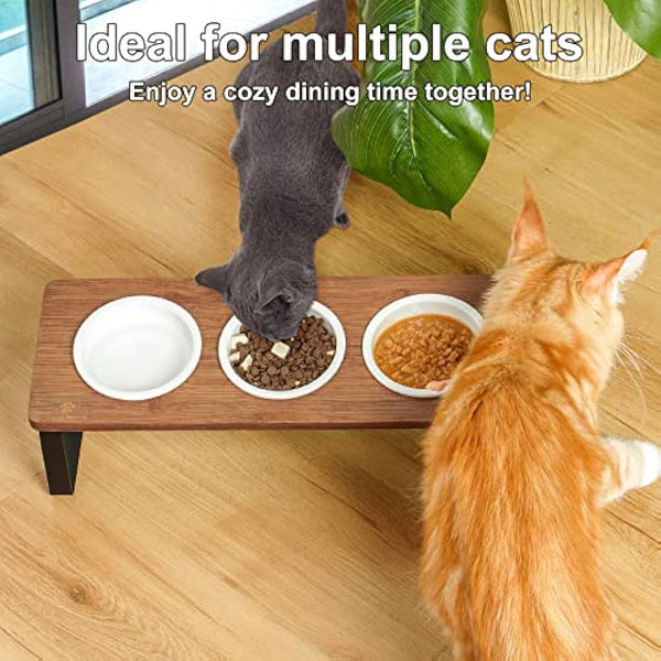 GUUSII HOME Raised Cat Bowl with Stand Kitty Dish Ergonomic Elevated Feeding Station 15° Tilted Ceramic Food and Water Bowls Set of 3 for Indoor Cats Pet Puppy Plate Anti Vomit Easy to Clean