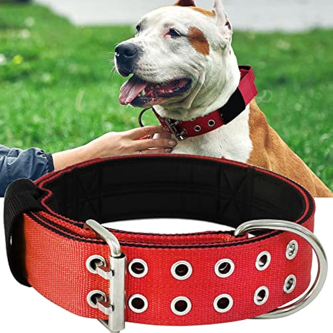 HQSHNY Dog Collar for Large Dogs - 5 cm Wide, Sturdy Design with Handle for Extra Large Dog Breeds, Soft Padded Neoprene Nylon, Red, 43-56 cm