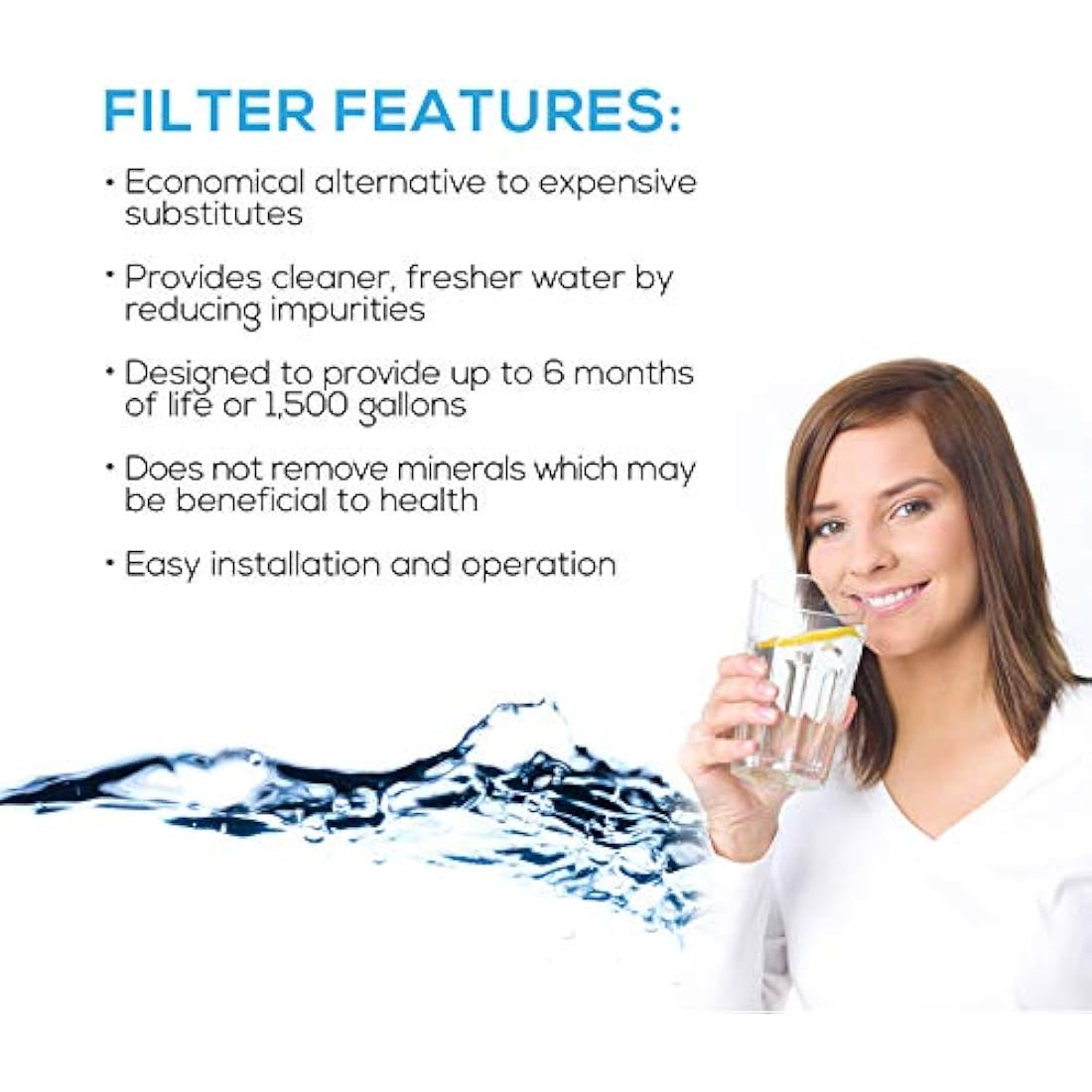 EcoAqua EWF-8007A Water Filter Replacement Compatible with Lincat FC04 FilterFlow Automatic Water Boiler FX Series; Including EB3FX, EB4FX, EB6FX, EB6TFX, EB3FX/PB, EB3FX/TT (2)