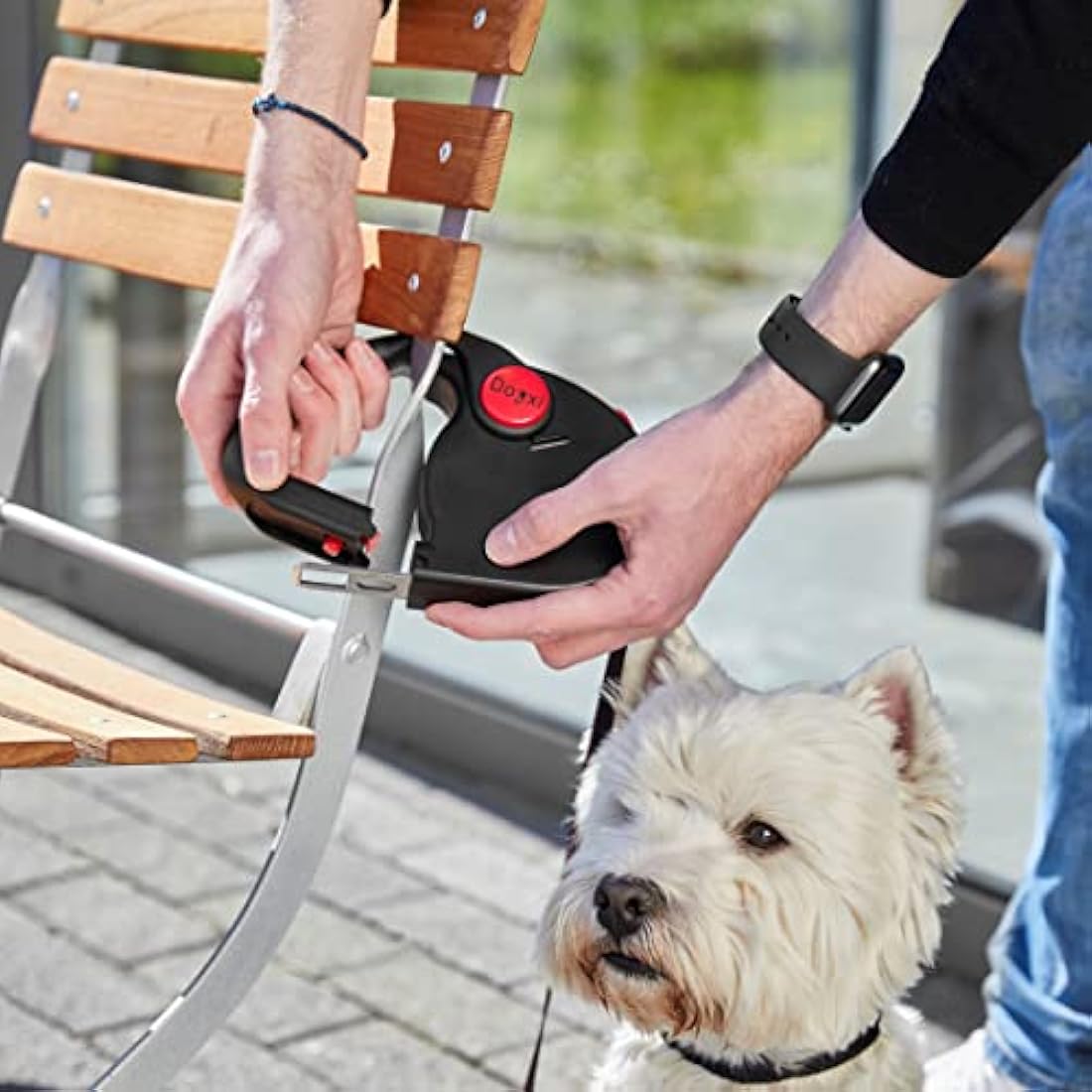 Dogxi Dog Lead Multifunctional Extendable Retractable Dog Lead 5m Handle Opens For Easy Fastening Seatbelt Buckle For Safe Transport In The Car For Small And Medium-Sized Dogs