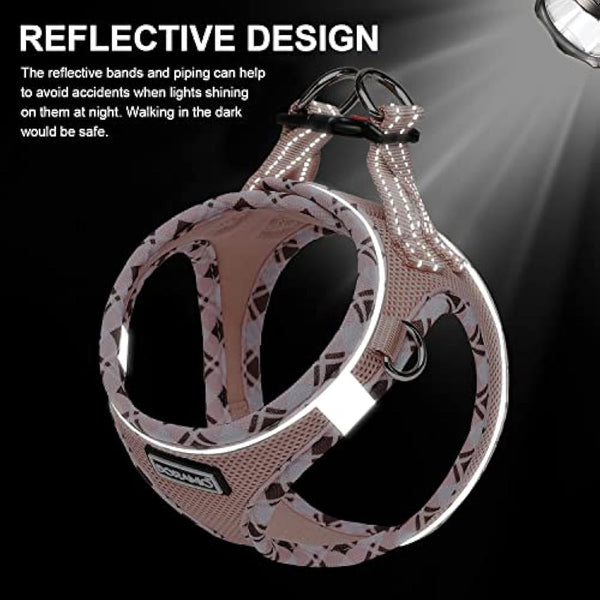 DORAMIO Step-in Dog Harness and Leash Set, Soft Mesh No-Chock Reflective Breathable Easy Walk Lightweight Vest Harnesses with Safety Buckle for Small Dogs, Cats, Puppies (Champagne, XS)