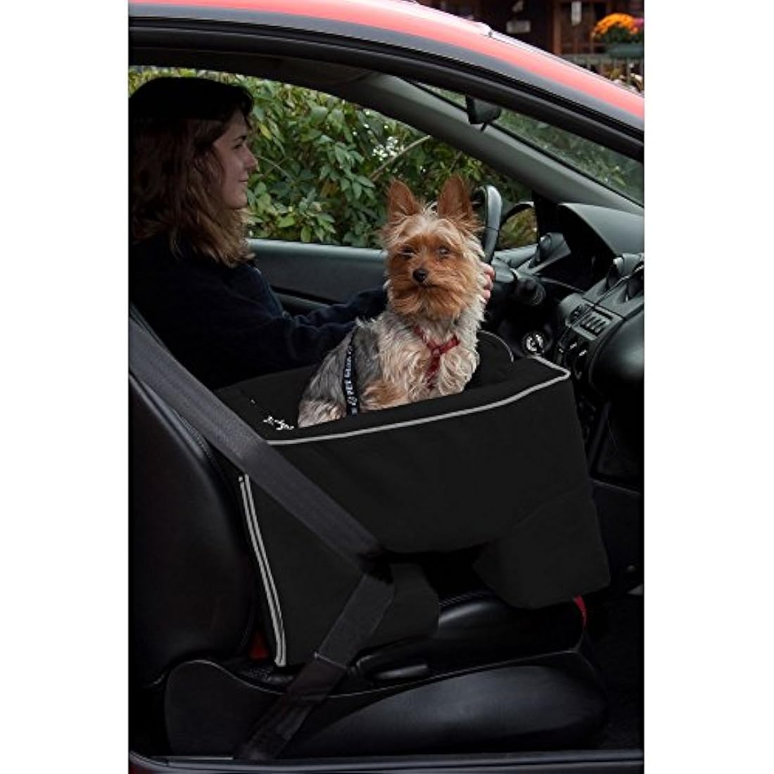Pet Gear Booster Car Seat, Medium, Black
