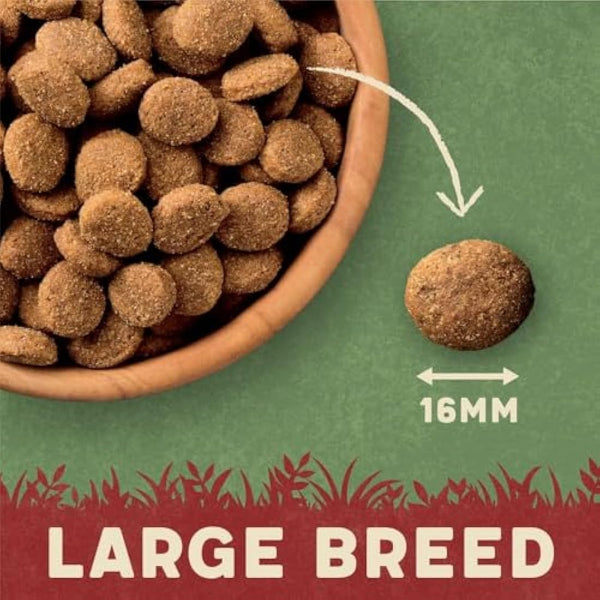 Harringtons Complete Large Breed Dry Adult Dog Food Turkey & Rice 14kg - Made with All Natural Ingredients