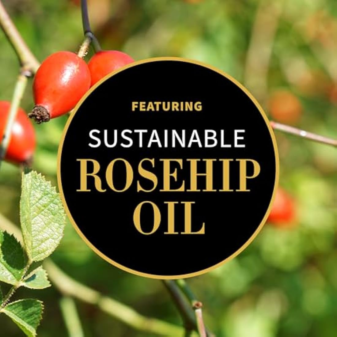 Antipodes Vanilla Pod Hydrating Day Cream 60ml