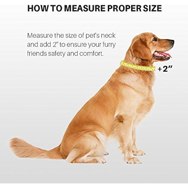 Hyhug Pets Solid Color Martingale Nylon Dog Collar, Heavy Duty Anti-Escape Large Dogs Collar.(Large,Lime Green)