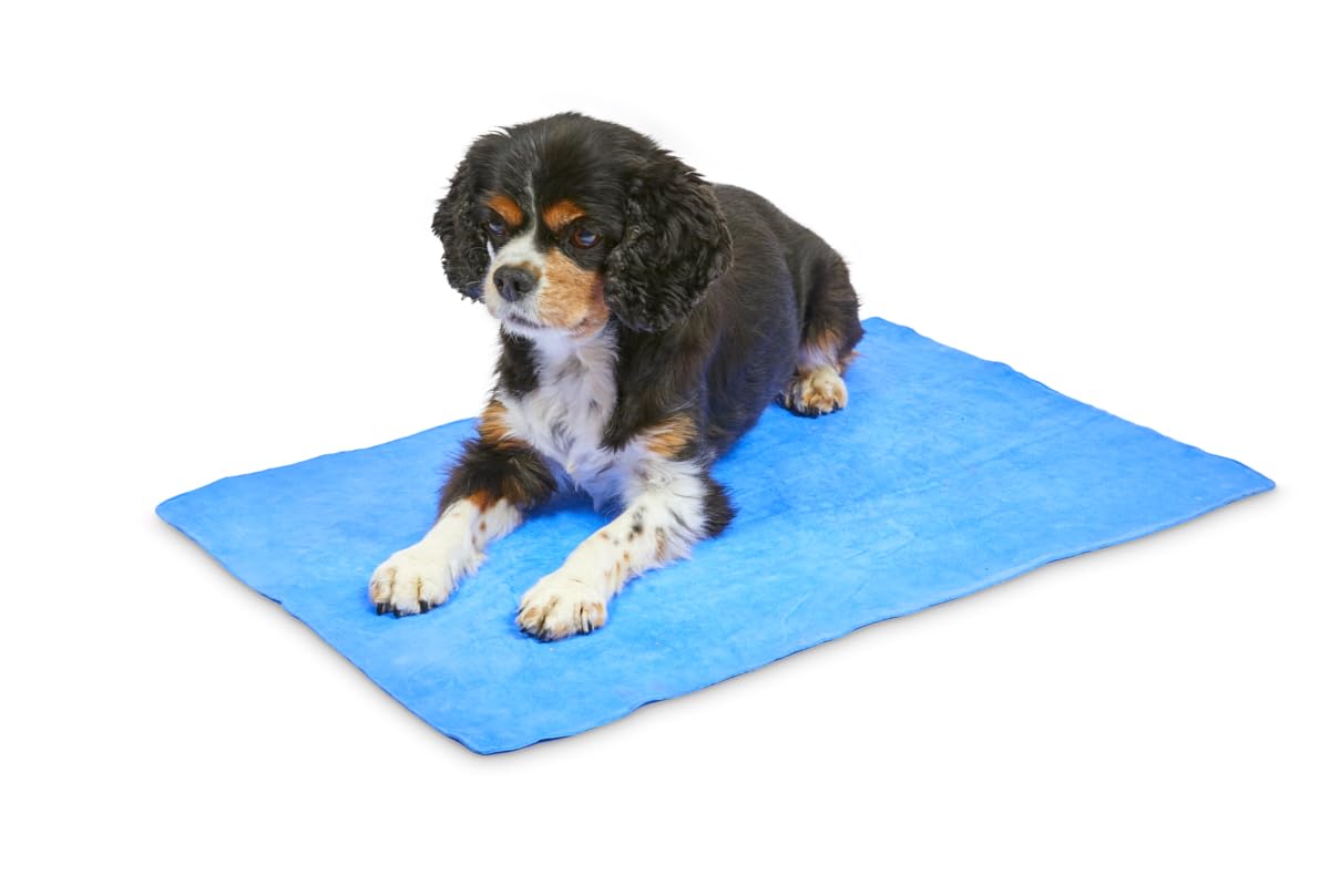 Petface Cooling Summer Dog Coat, 70 cm, Blue