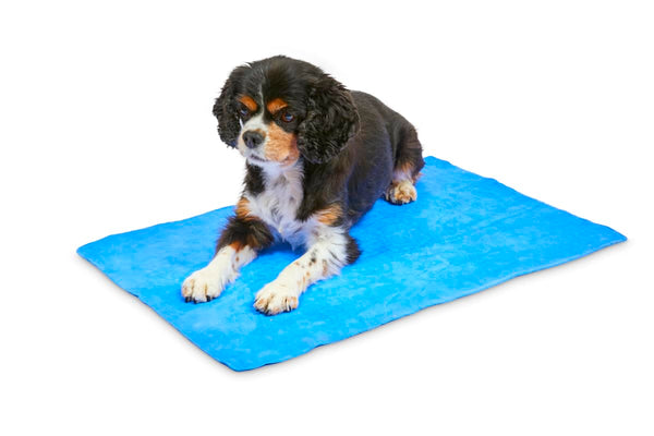 Petface Cooling Summer Dog Coat, 70 cm, Blue