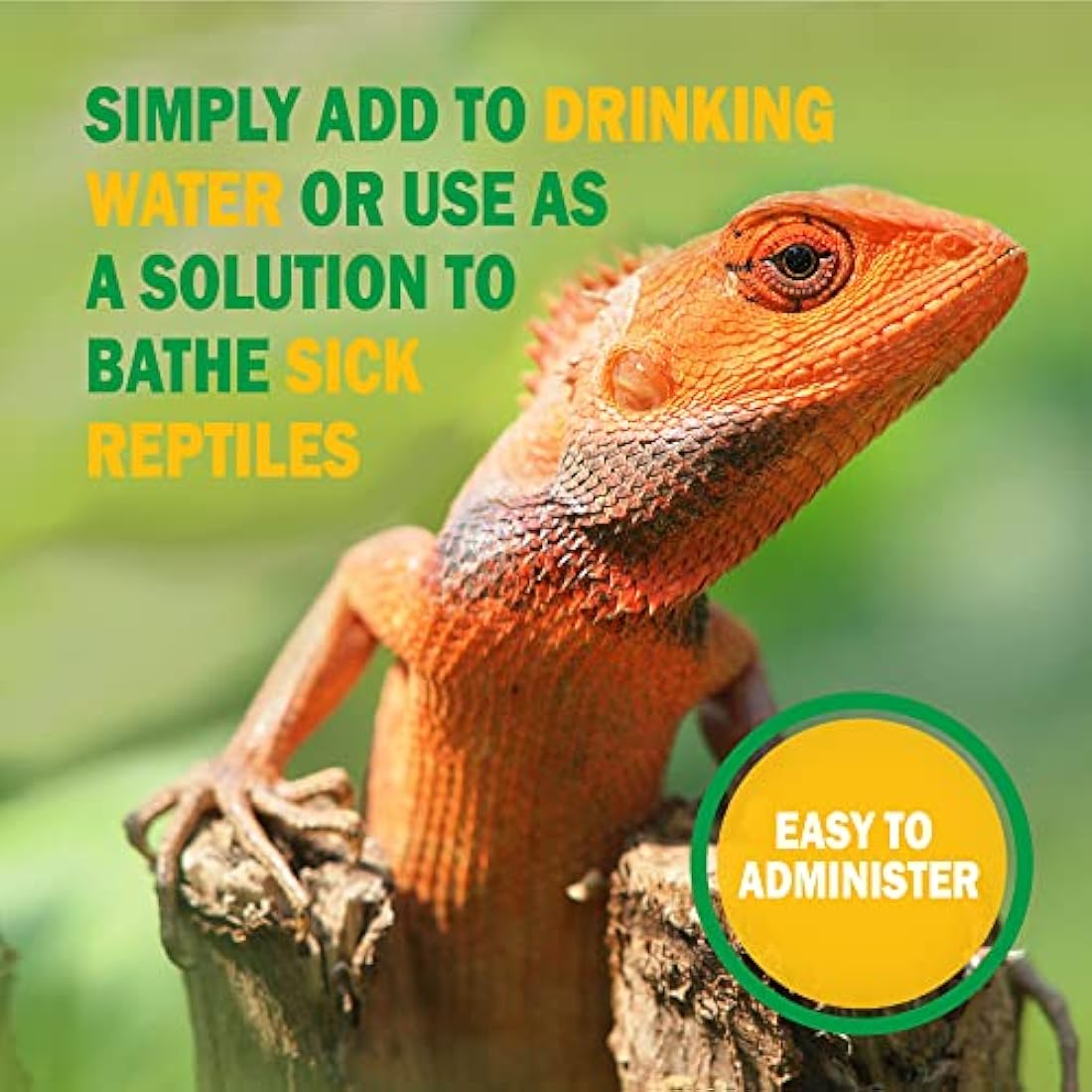 Vetark Reptoboost Power | Electrolyte & Probiotic boost for reptiles & Tortoise | Supports recovery following hibernation | Easy to give | 300g powder