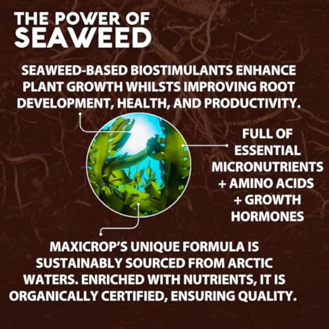 Maxicrop All Purpose Plant Growth Stimulant, 1L - Natural Seaweed Based Liquid Biostimulant - Multivitamin Boost for All Garden Plants - Strong Roots - Healthy Growth - Builds Resilient Crops