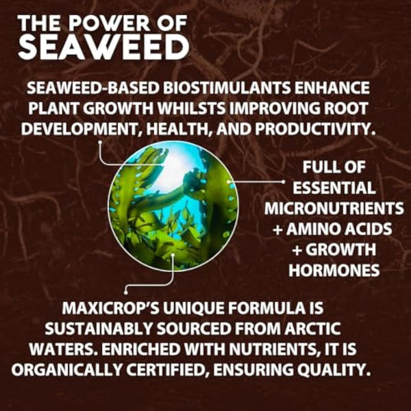 Maxicrop All Purpose Plant Growth Stimulant, 1L - Natural Seaweed Based Liquid Biostimulant - Multivitamin Boost for All Garden Plants - Strong Roots - Healthy Growth - Builds Resilient Crops
