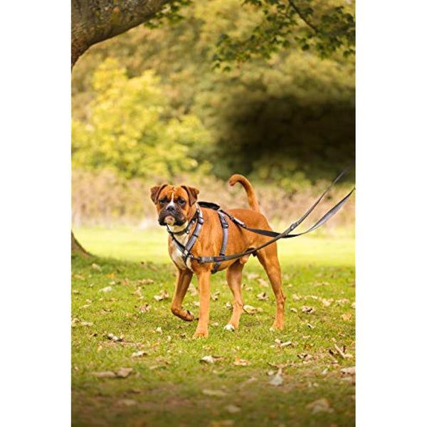 HALTI Double-Ended Lead For Dogs, Size Small, Red, 2m, Best Premium Puppy & Dog Leash, Neoprene-Padded, Easy to Use, Reflective, Adjustable Lengths, Ideal Dog Lead for Hands Free Running & Training