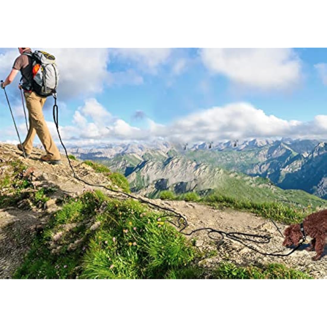 Joytale Long Training Lead for Dogs, 15/10/5M Strong Reflective Dog Training Leads with Soft Handle, Nylon Rope Long Line Dog Leads for Small and Puppy Dogs with 2 Hook Tie out, 15M, Black