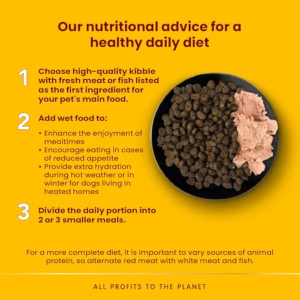 almo nature HFC Wet Dog Food, Cuisine Chicken with Carrots and Rice, 280 g, Pack of 12, Transparent