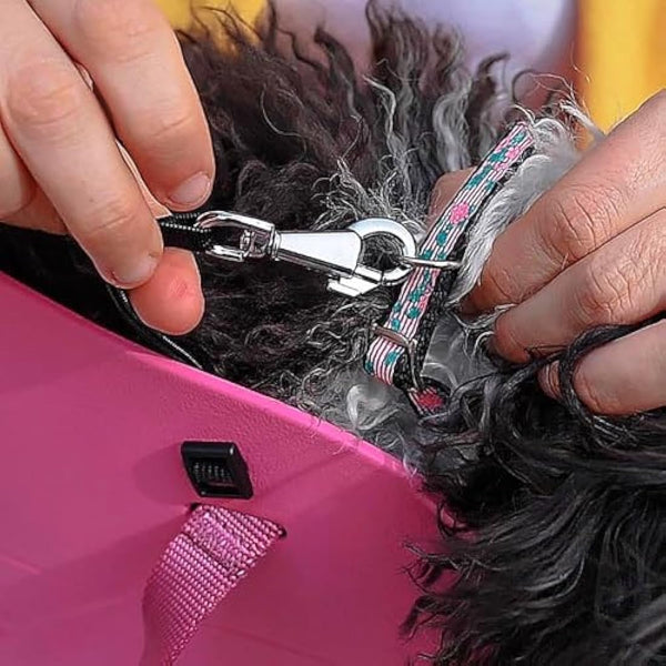 Ferplast With-Me Eva Dog Bag, 14 x 35 x 22 cm, Small, Fuchsia