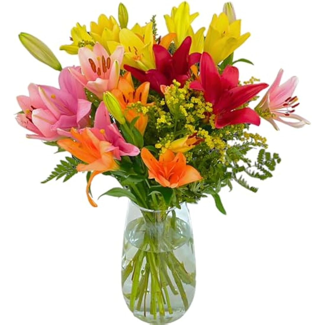 Homeland Florists Asiatic Lily Fresh Flowers Delivery Next Day Prime, Send a Luxury Gift Wrapped Bouquet of Lilies with Personalised Handwritten Card