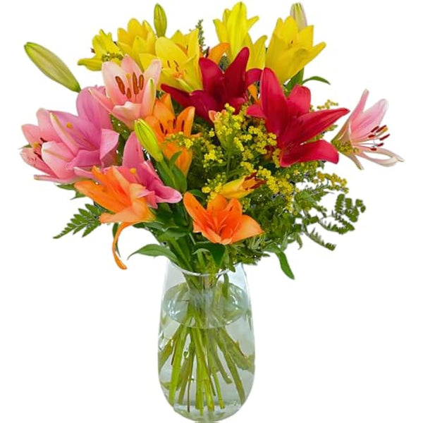 Homeland Florists Asiatic Lily Fresh Flowers Delivery Next Day Prime, Send a Luxury Gift Wrapped Bouquet of Lilies with Personalised Handwritten Card