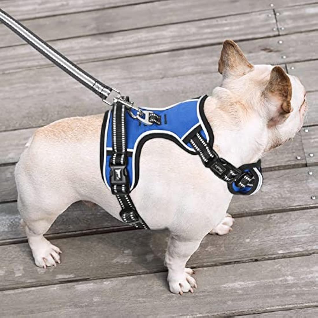 HEELE Dog Harness, No Pull Dog Harness Medium, Release on Neck, Reflective Adjustable Dog Harness with Front Back 2 Leash Attachments and Soft Padded Control Handle for Dogs Walking Training, Blue, M