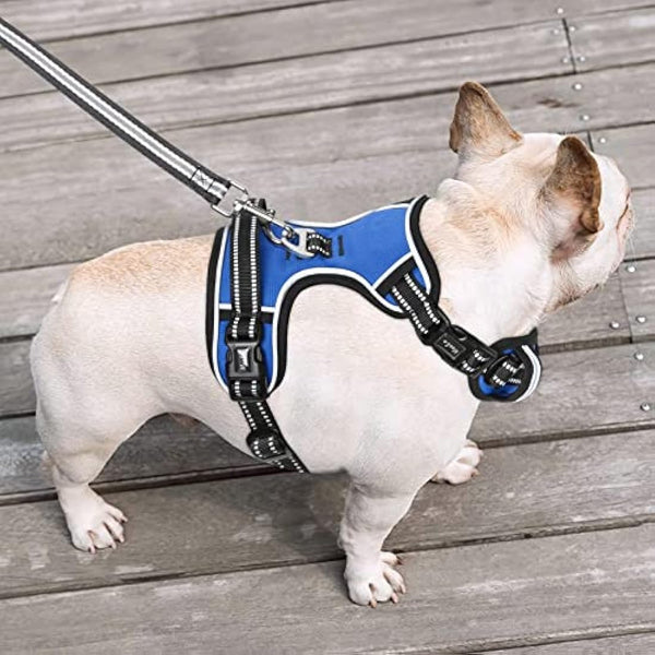 HEELE No Pull Dog Harness - Small, Reflective, Adjustable with Front & Back Leash Attachments & Soft Padded Control Handle - Blue, S