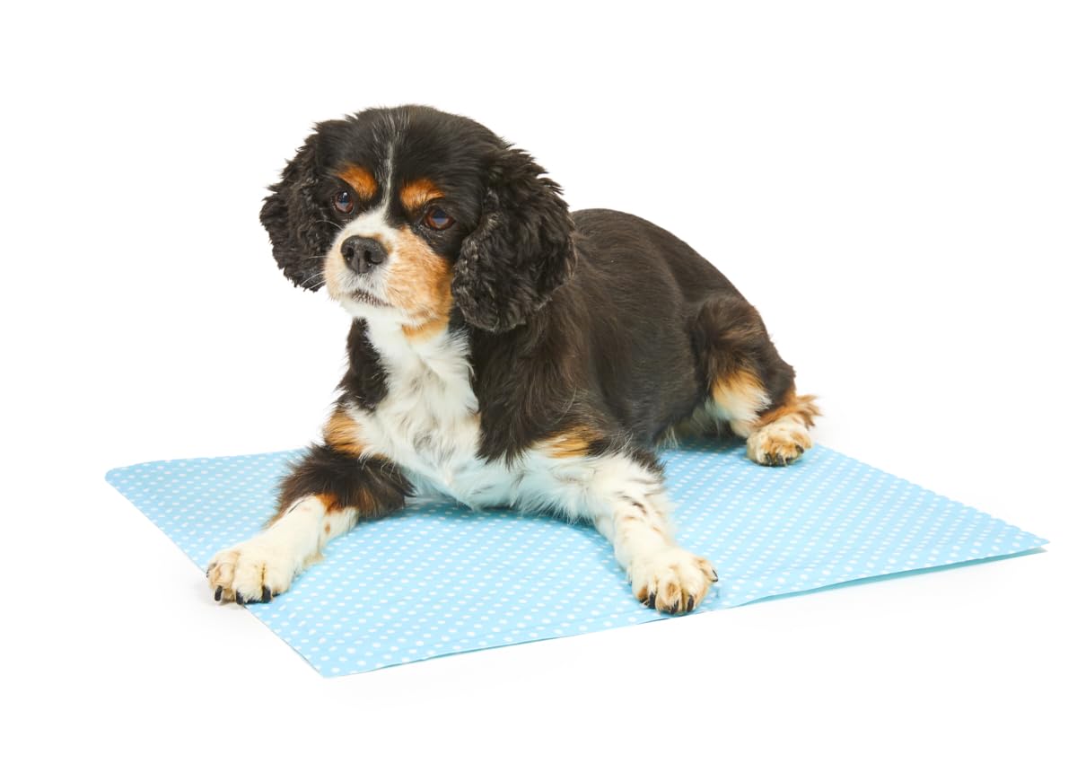 Petface Cooling Summer Dog Coat, 70 cm, Blue