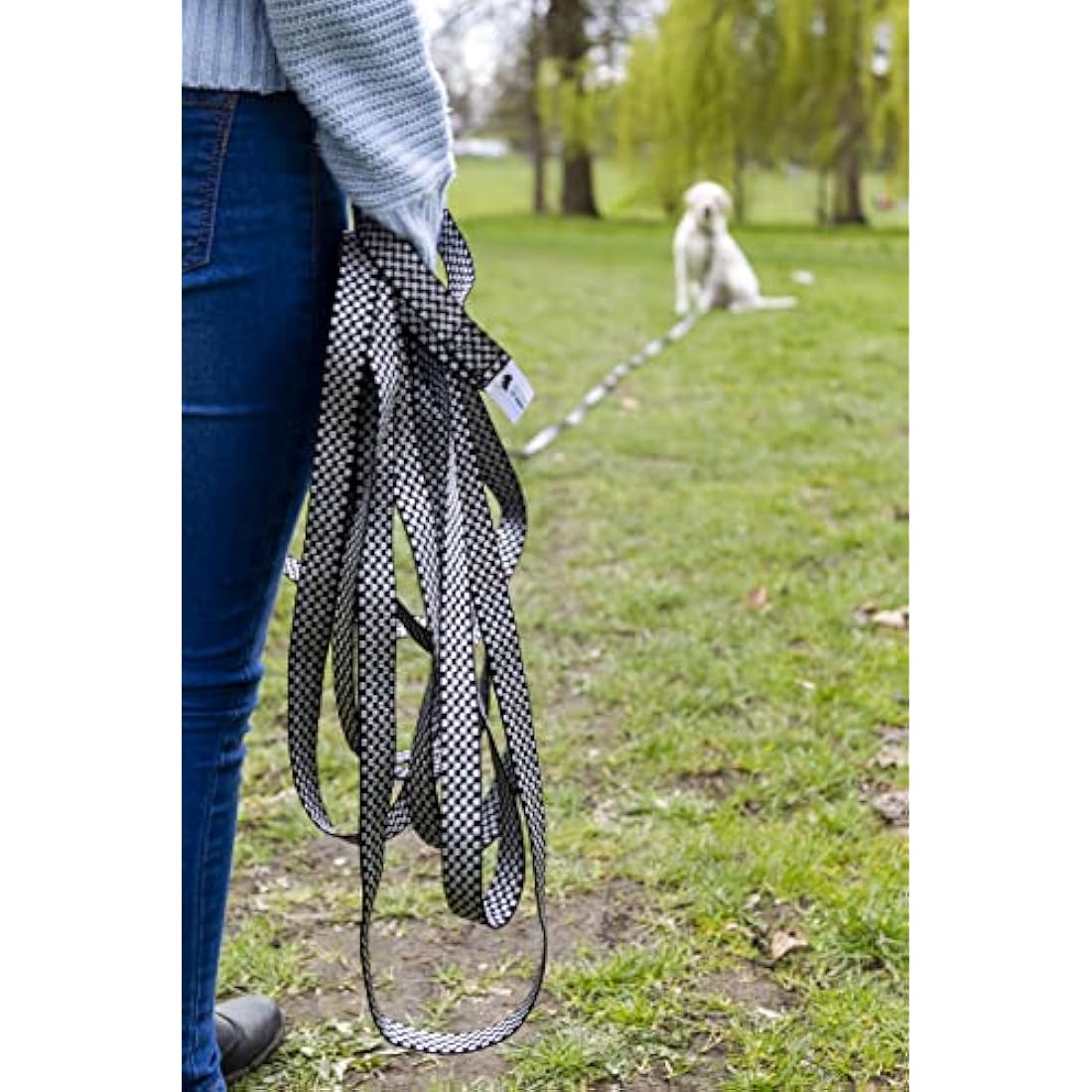Maximum Pet Products Chequered Dog & Horse Training Lunge Lead. 25mm - 1" Wide. Very Strong) 65ft/20M