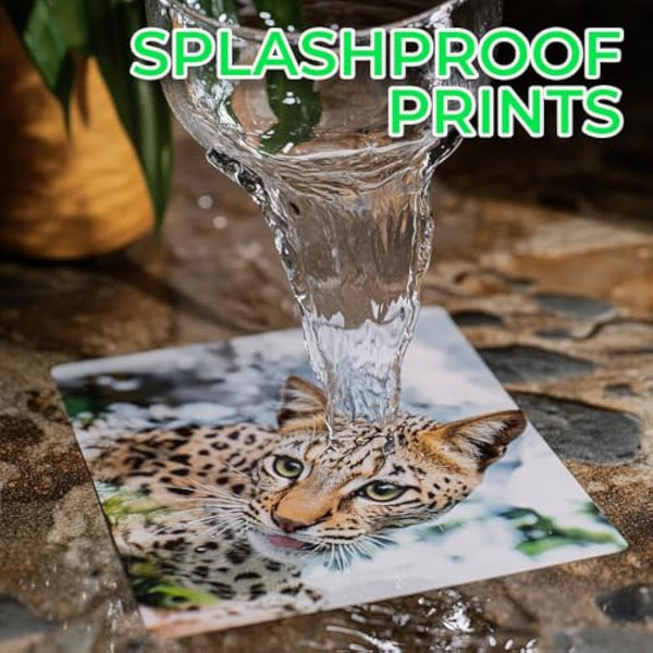 Evergreen Goods 200 Sheets A4 White Glossy Printable Photo Sticker Paper | Splashproof Inkjet & Laser Compatible Self Adhesive Label | Ideal for Product Labelling, DIY Crafts, Scrapbooking & More