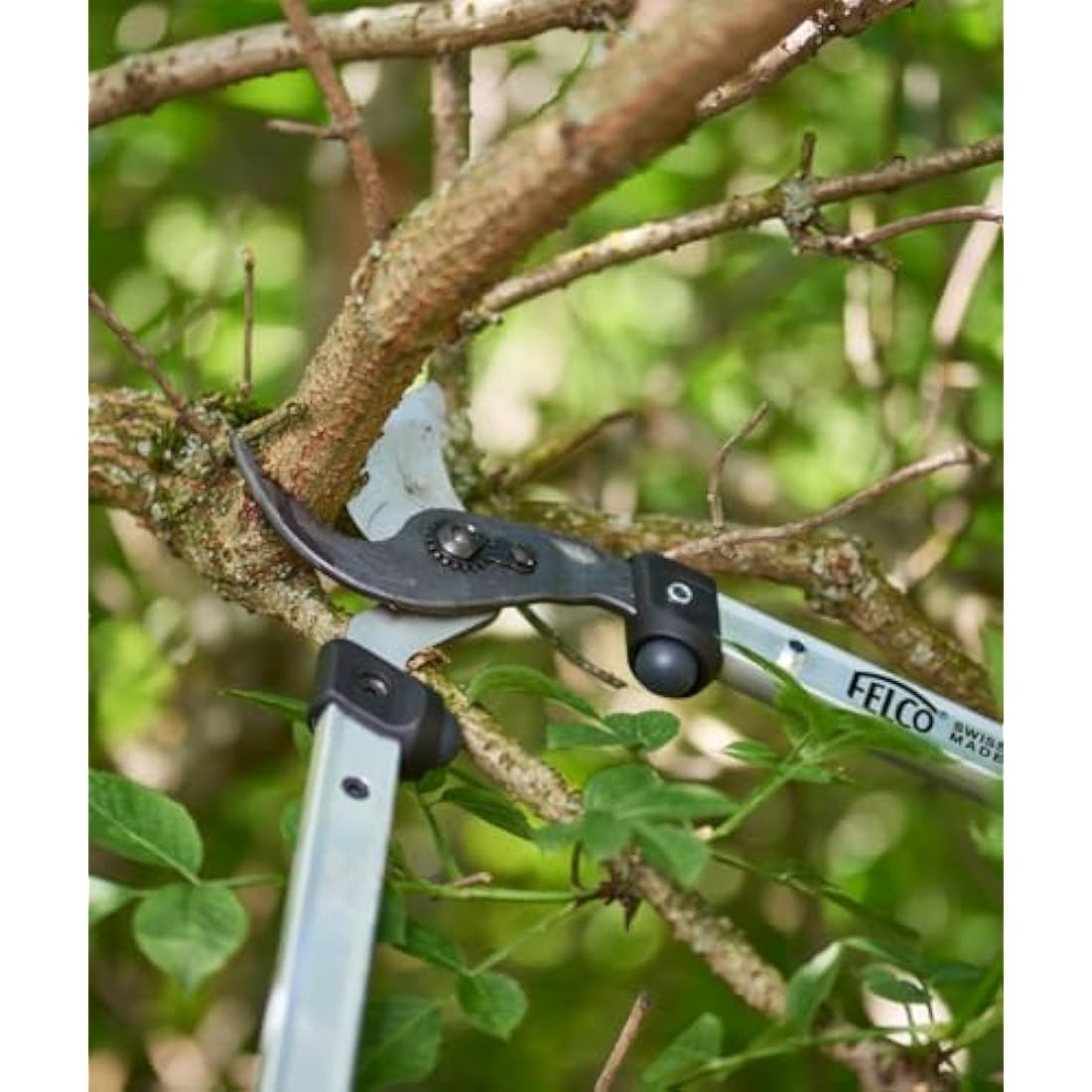 Felco 60cm Loppers Large Curved Cutting Head 35mm Cut, Lightweight 60cm Handles Shock Absorbers Tree Surgeon Professional Home Gardener Forestry Precision Manufacturing Process Swiss Made