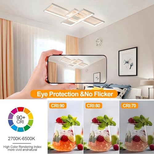 Jsz LED Dimmable Ceiling Light Living Room Lamp with Remote Control Modern Minimalist Ceiling Light Creative Metal Acrylic Design Ceiling Light