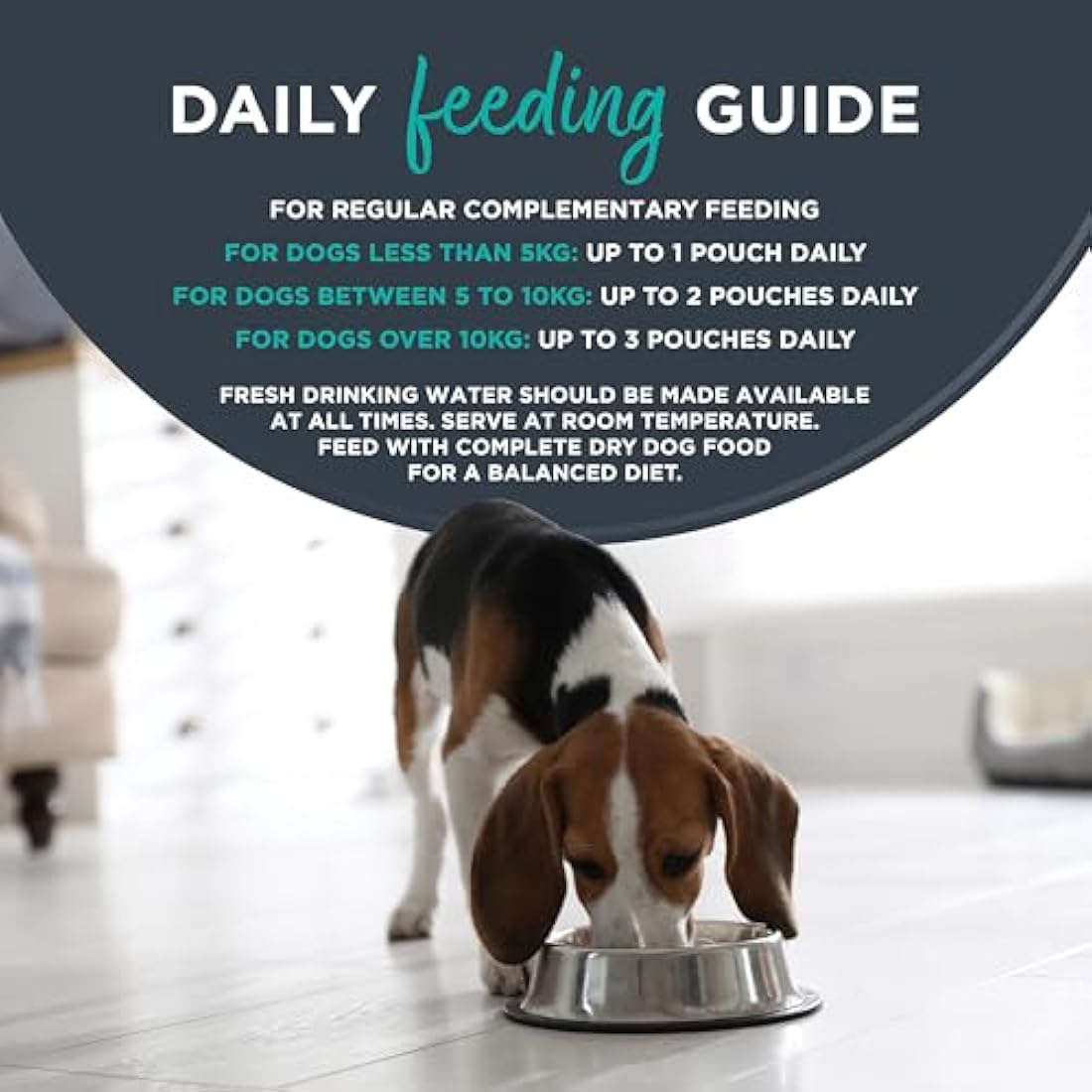 Encore Natural Adult Wet Dog Food, Chicken Selection in Jelly 100g Pouch (4 x (5 x 100g Pouches))