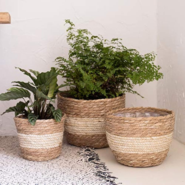La Jolíe Muse Seagrass Planter Basket Indoor, Flower Pots Cover, Plant Containers, Beige(3-Pack)