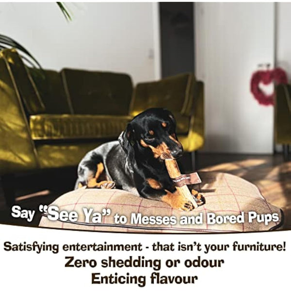 Antler Chew – Super Extra Large Antler Dog Chew (350–450g, From 17cm) | Naturally Shed & Sanded | Long-Lasting, Odourless Chew for Moderate Chewers | Supports Dental Health