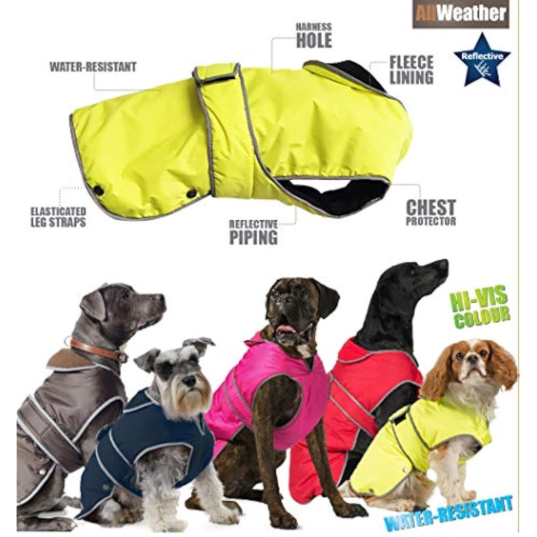Ancol Muddy Paws All Weather Stormguard Coat . Chocolate.Size Medium ( length 40cm, girth 40-64 cm)