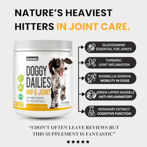 iKarmel Joint Supplements for Dogs | Hip and Joint Care | with Glucosamine, Chondroitin, and Green-Lipped Mussels | Puppy to Senior Dog Treats for Stiff Joints (270 Chews)