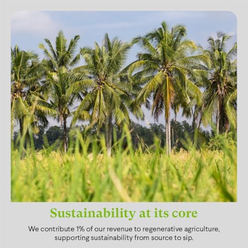 JAX COCO | 100% Pure Coconut Water | No Added Sugar, Low Calorie | Convenient On-the-Go Cans | Fresh from Volcanic Philippines regions | 24x 330ML Cans