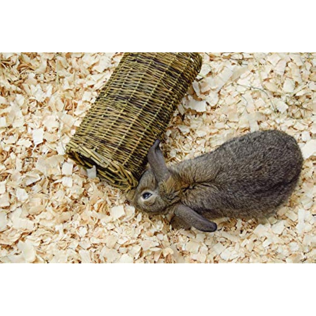 Happy Pet Small Willow Tube for Small Animals 100% Natural Gnawing Nibbling Interactive Lightweight Indoor Long Lasting Pet Treat Hideaway Toy